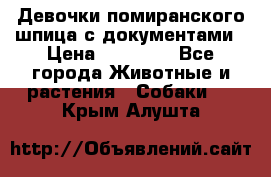 Девочки помиранского шпица с документами › Цена ­ 23 000 - Все города Животные и растения » Собаки   . Крым,Алушта